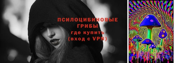 ПСИЛОЦИБИНОВЫЕ ГРИБЫ Покров