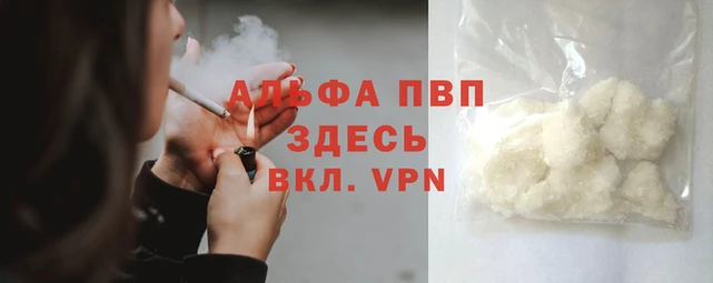 прущие грибы Покачи